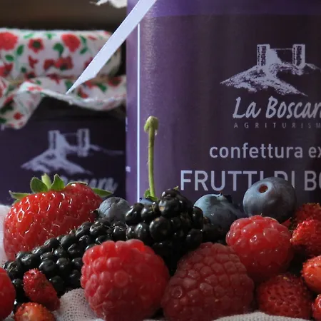 Alojamento de Acomodação e Pequeno-almoço La Boscara San Leo